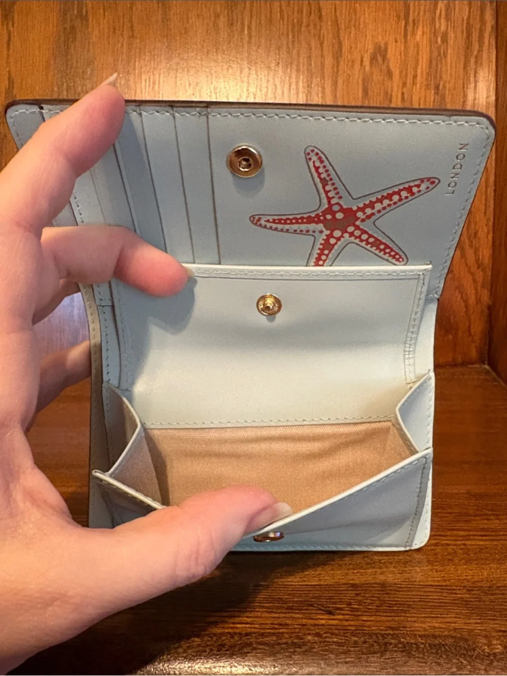 NWT-Radley London-Picton Place-Medium Bifold Wallet-Seashell Pattern-$108